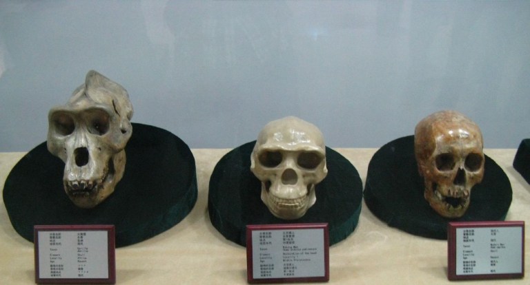 20170326_cranios_ancestrais_ian_armostrong_flickr