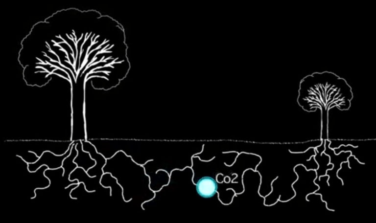 20170326_dotreescommunicate_youtube