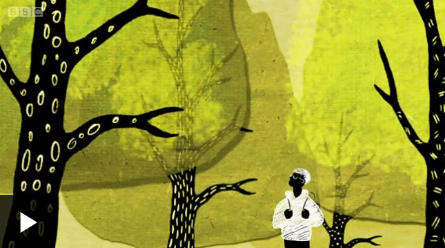 20180705_bbc_arvoresomunicamsubterraneo