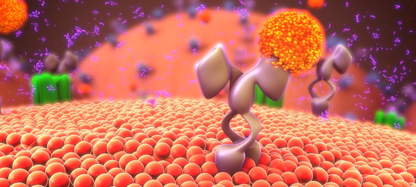 Fluxos em rede aproximam natureza, corpo e&nbsp;sociedade