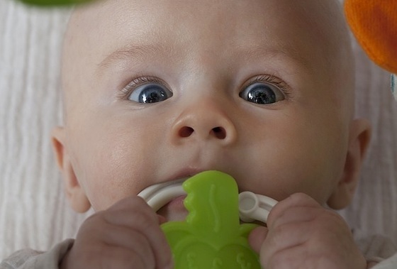 IMG_20160326_183450551_guiadobebe