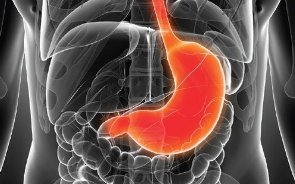 20171119_sciam_sebastiankaulitzki_getty