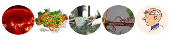 20180603_ciclos_crcls