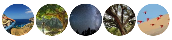 20180726_contempla_circulos