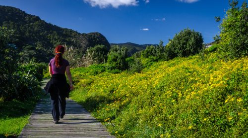 natureconservancy_walkinnature