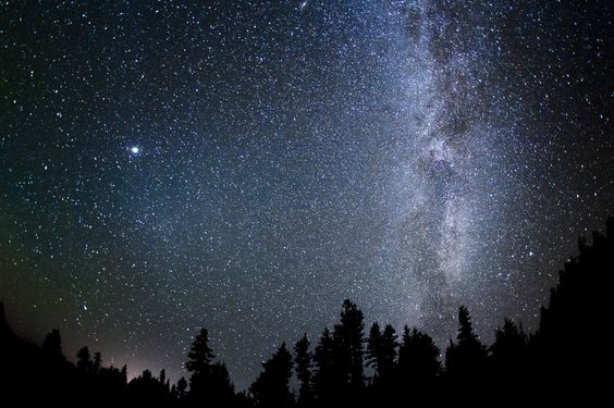 newyorker_oldnavigationsystems