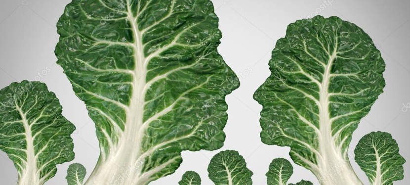 Perspectiva integrada para a sustentabilidade? Não deixe o corpo de&nbsp;fora