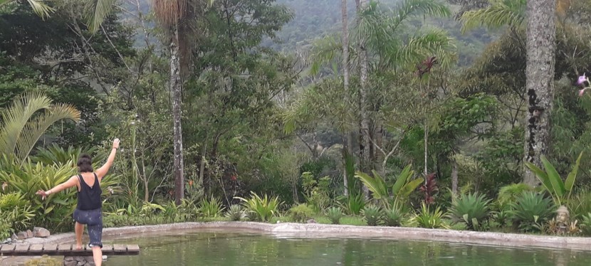 Imersão de Corpo e Movimento na Natureza * Outono&nbsp;2019