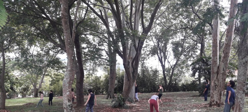 Imersão de Corpo e Movimento na Natureza * Verão&nbsp;2020