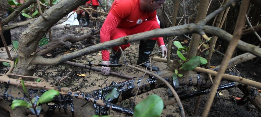 O piche sobre a diversidade&nbsp;brasileira