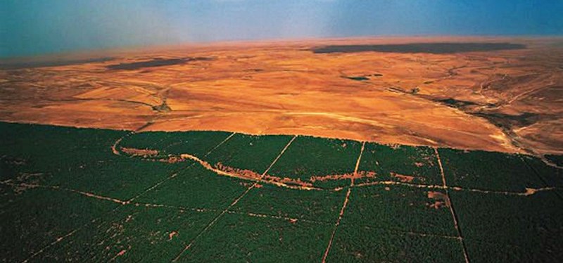 Diferentes sentidos de emergência para mover os anos&nbsp;2020