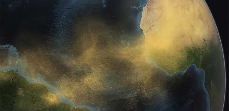 Relação entre deserto e floresta revela conexões como as do&nbsp;corpo