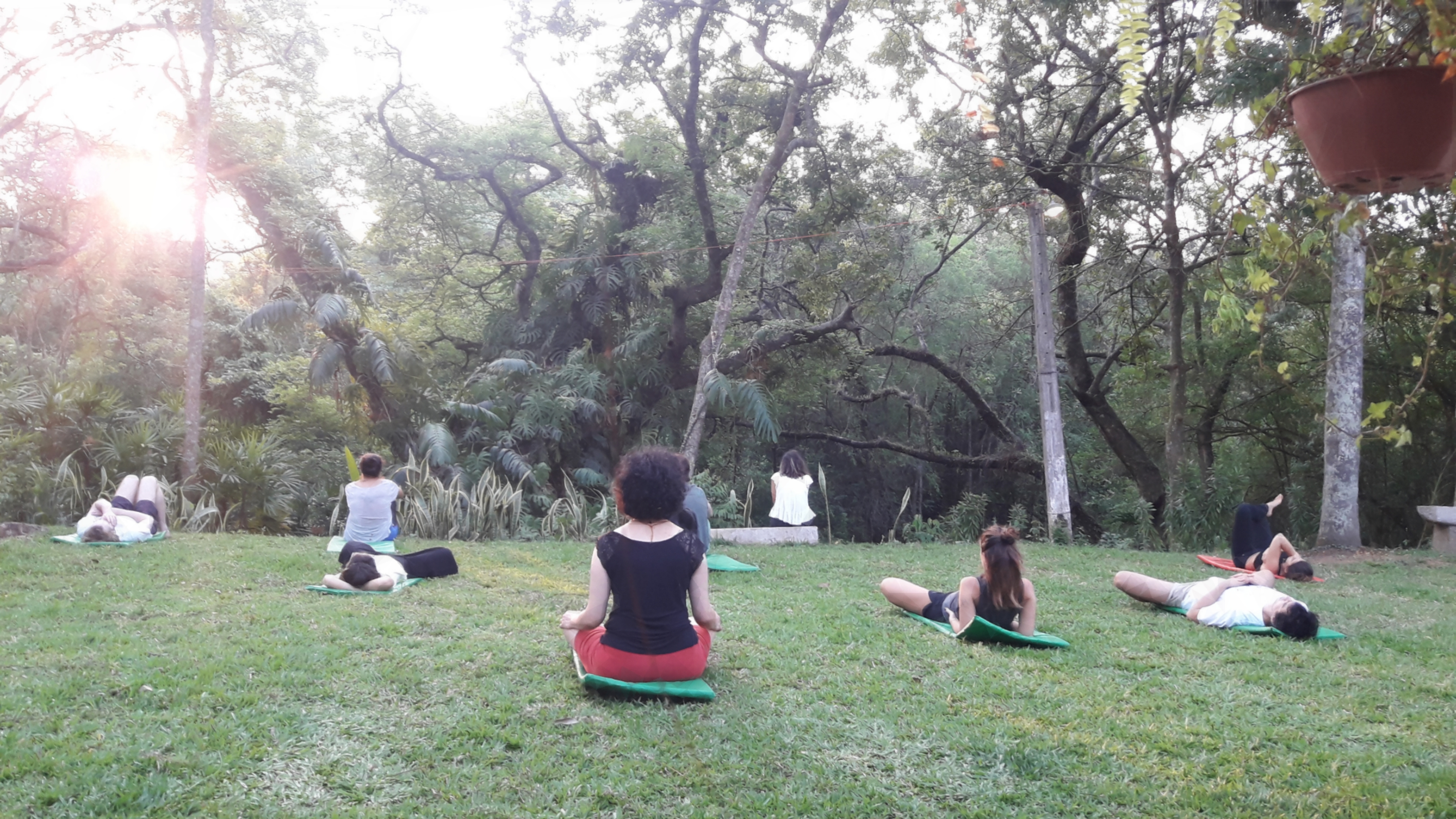 PicsArt_10-04-06.51.46 1