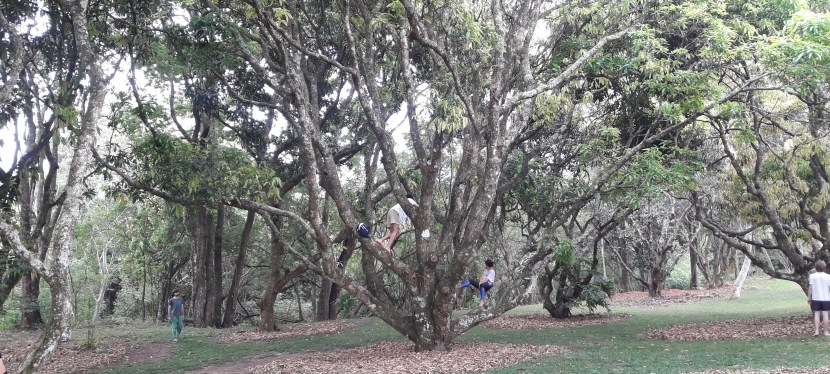 Migrações foi o tema do retiro de Primavera&nbsp;2020